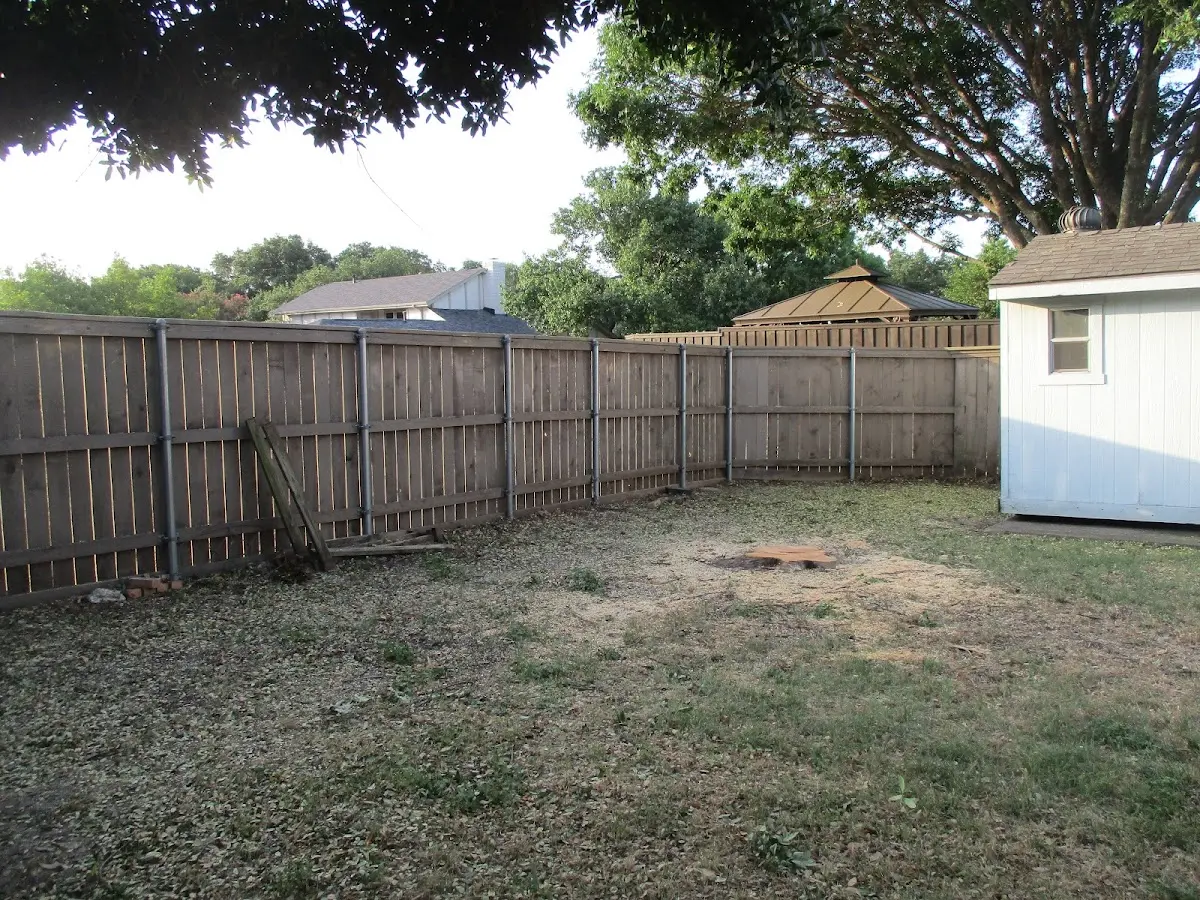 Cleared yard after professional tree removal in Richland Center