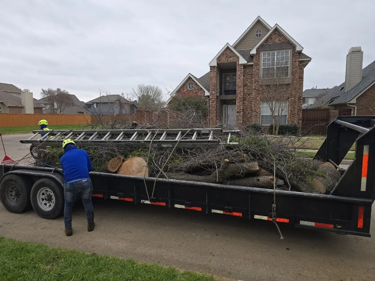 Expert Tree Pest Control with proper safety equipment in Richland Center